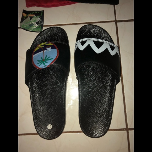 Islander Slides - Picture 2 of 5